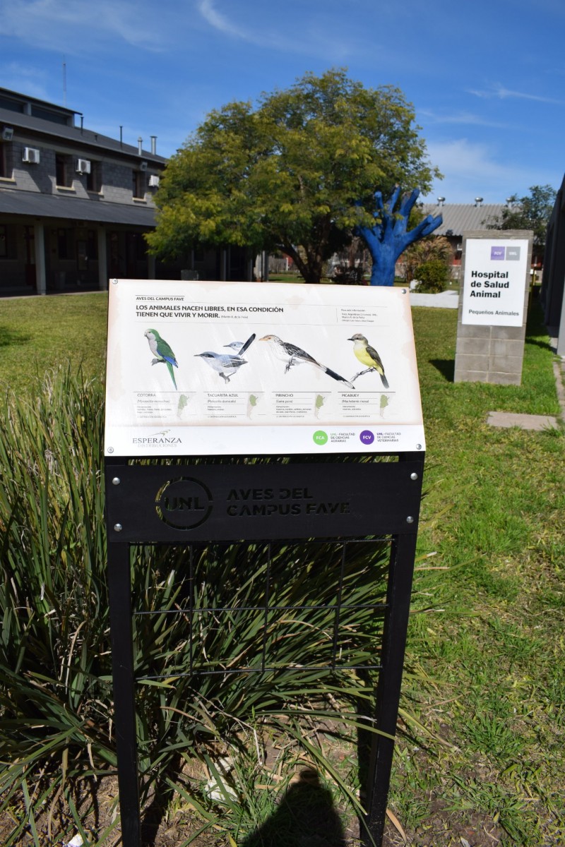 El Campus de la Fave tiene un nuevo paseo con información sobre aves autóctonas de la región