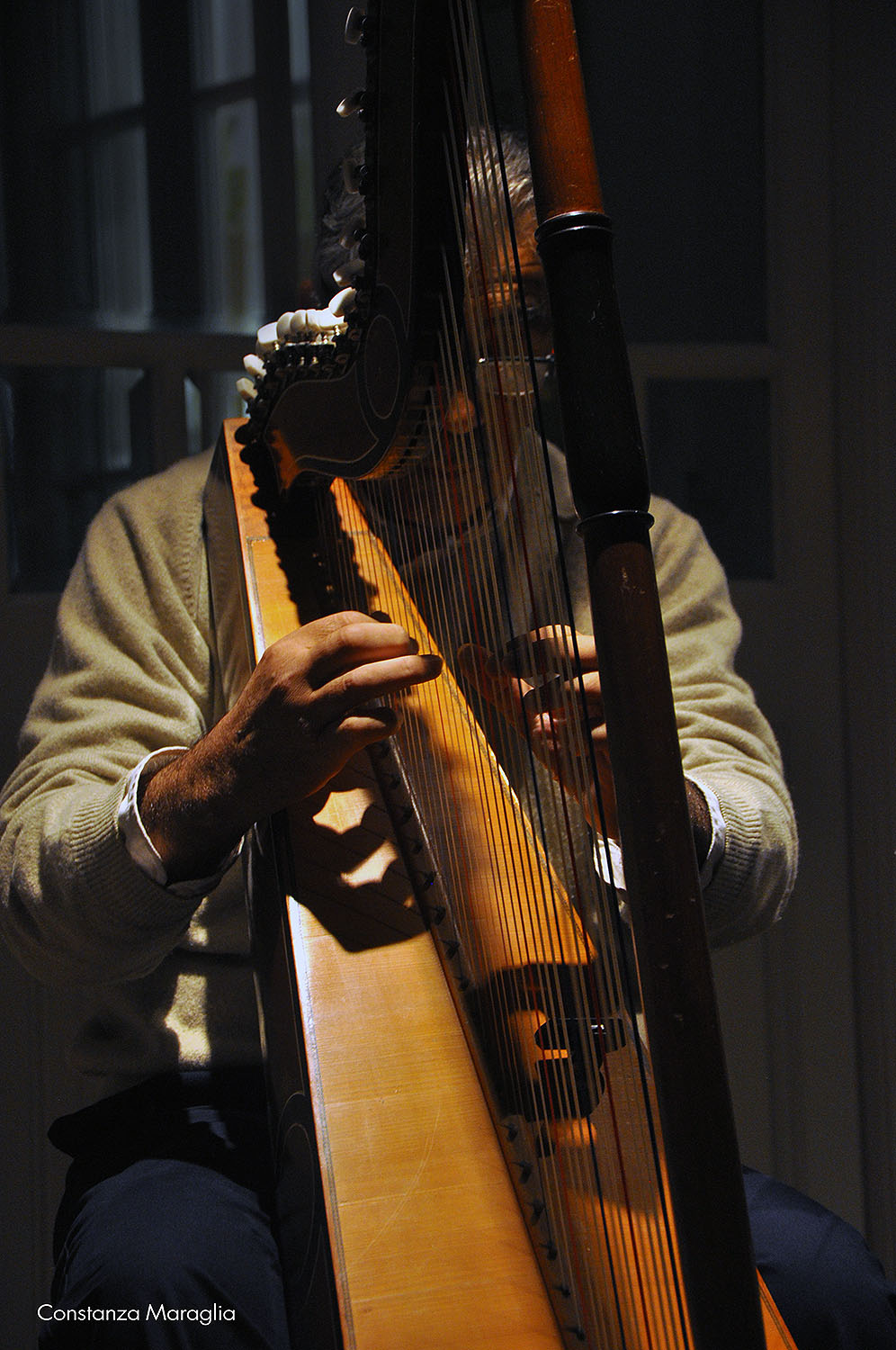 Arpa y Guitarra en la FRD | Al Margen Web