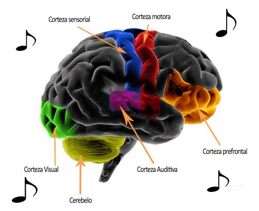 Con la Música en la Cabeza