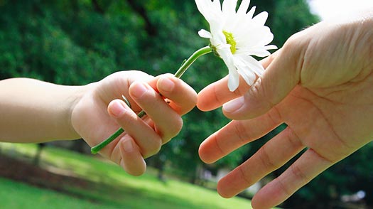 Grageas de gratitud
