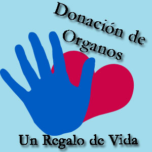 Un acto de amor: donar órganos es donar vida