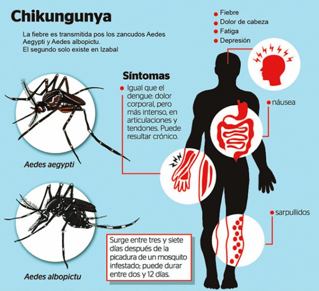 Dos casos de Chikungunya confirmados en Santa Fe