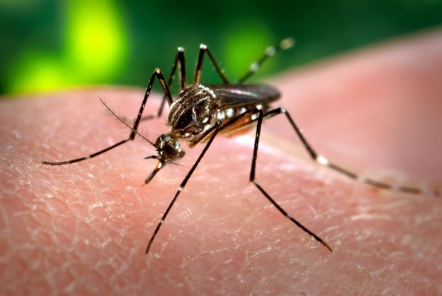 Hay 201 casos de dengue confirmados en Santa Fe