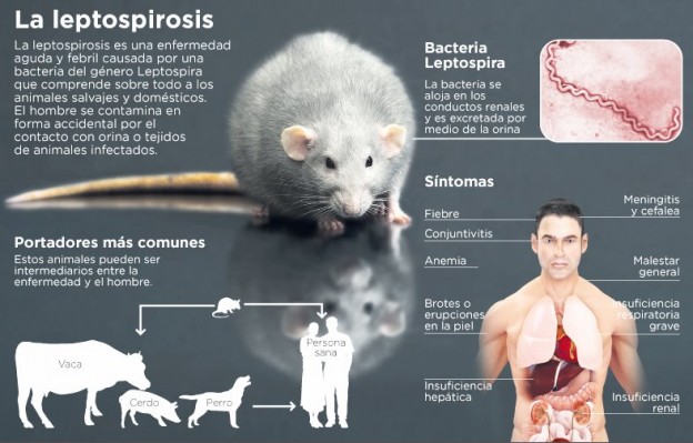 Situación de leptospirosis en la provincia de  Santa Fe