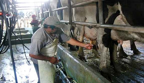 El Gobierno Provincial brinda asistencia financiera a los productores tamberos santafesinos