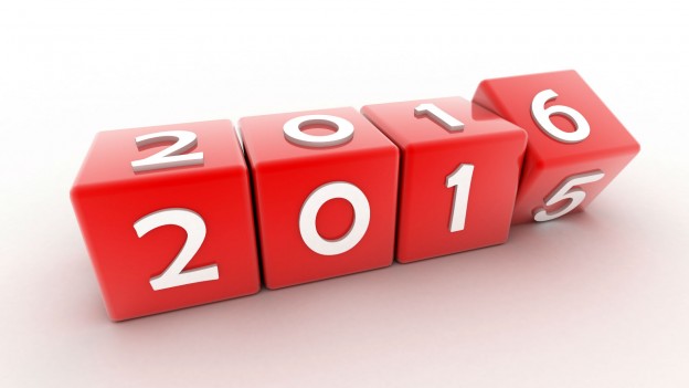 Chau 2015 – Balance de fin de año