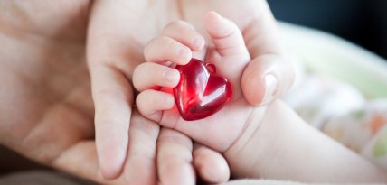 La provincia avanza en la conformación de la Unidad de Cardiopatías Congénitas