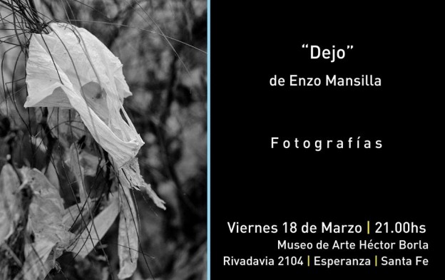 Muestra en el Héctor Borla