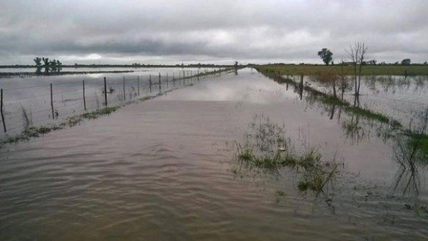 Nación envía 55 millones de pesos a Santa Fe destinados a la emergencia agropecuaria