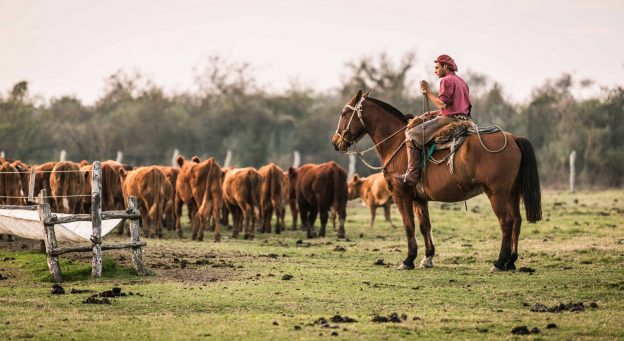 Los peones rurales permanentes cobrarán un bono de 2.000 pesos
