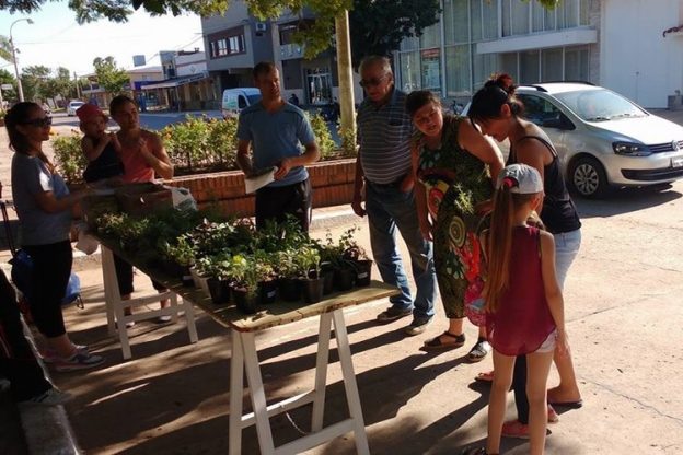 San Jerónimo Norte: Novena Campaña Ecológica
