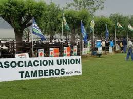 Franck: Asociación Unión Tamberos recibió el sello 100% Cooperativa