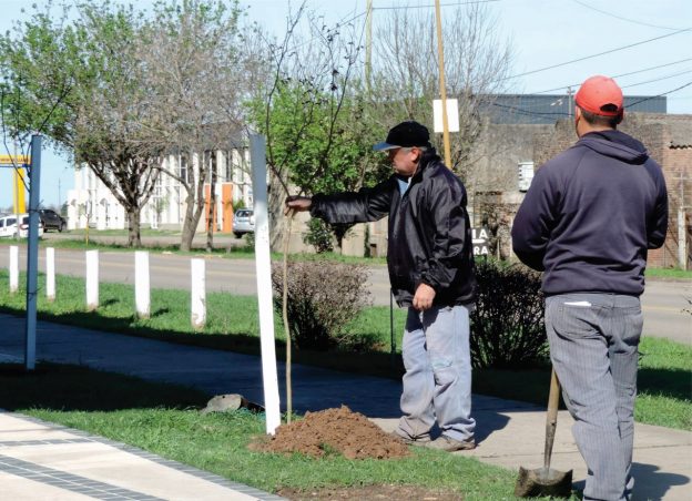 La Comuna de Franck comenzó con la plantación de nuevos ejemplares arbóreos