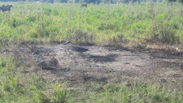 Lo secuestraron en su propio auto, le robaron y lo abandonaron en un maizal sobre ruta 70