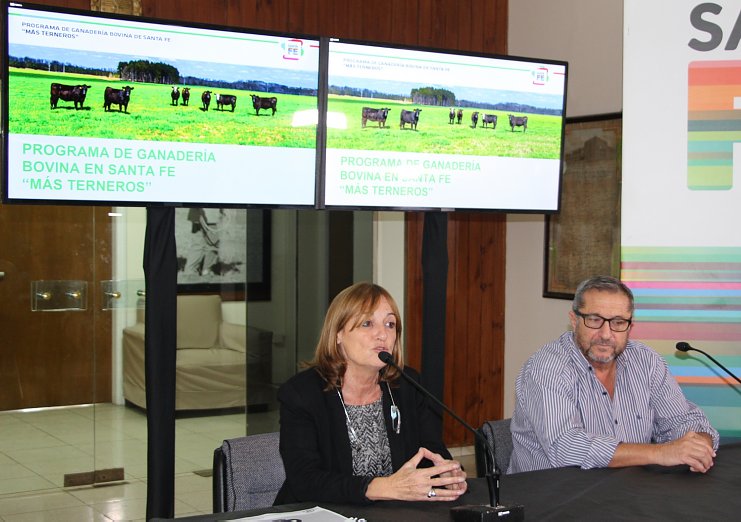 El Ministerio de la Producción presentó el programa “Más terneros”