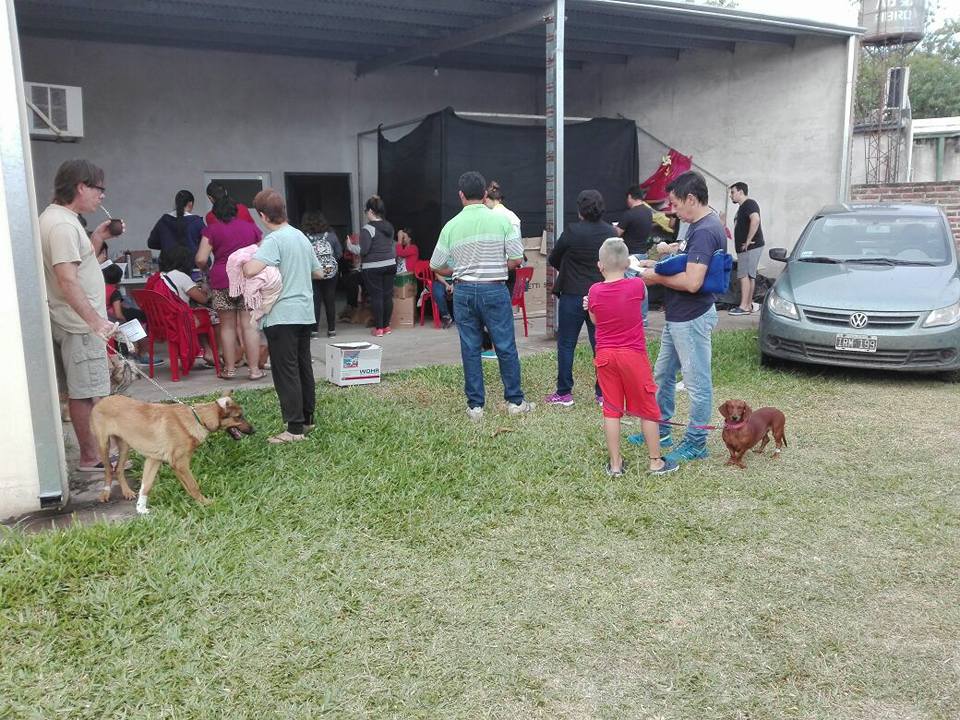 SE REALIZARON CASTRACIONES GRATUITAS EN LA COMUNA DE PROGRESO