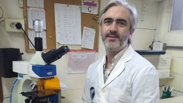 Premian a un científico rosarino que estudia efectos de la yerba mate en los huesos