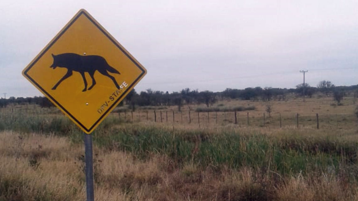 LA PROVINCIA COORDINA ACCIONES PARA LA PROTECCIÓN DE LA FAUNA AUTÓCTONA