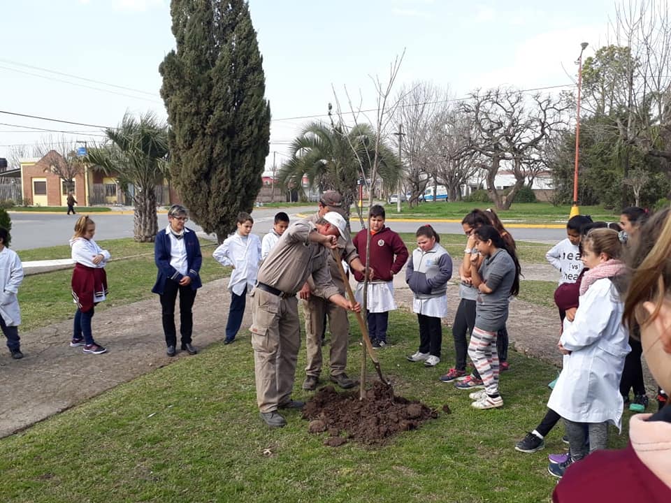 Grütly celebra el día del árbol