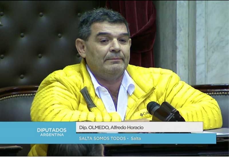 Bolsonaro argentino quiere a Baby Etchecopar como cabeza de lista