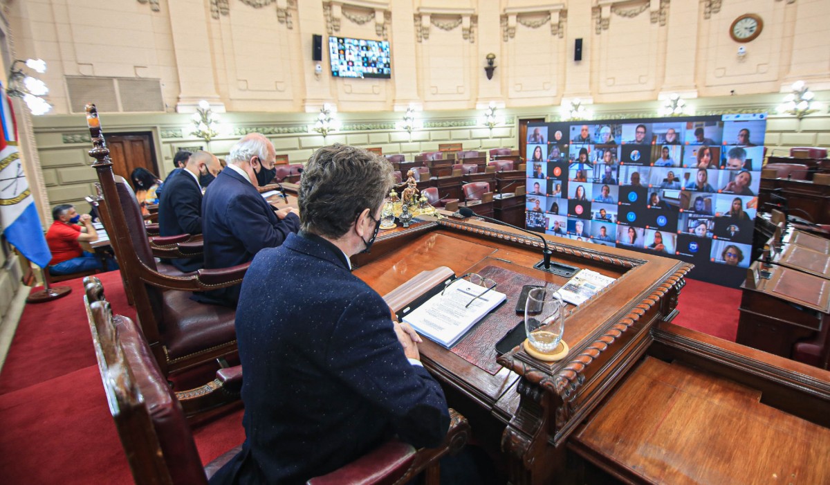 Diputados realizó la primera sesión virtual