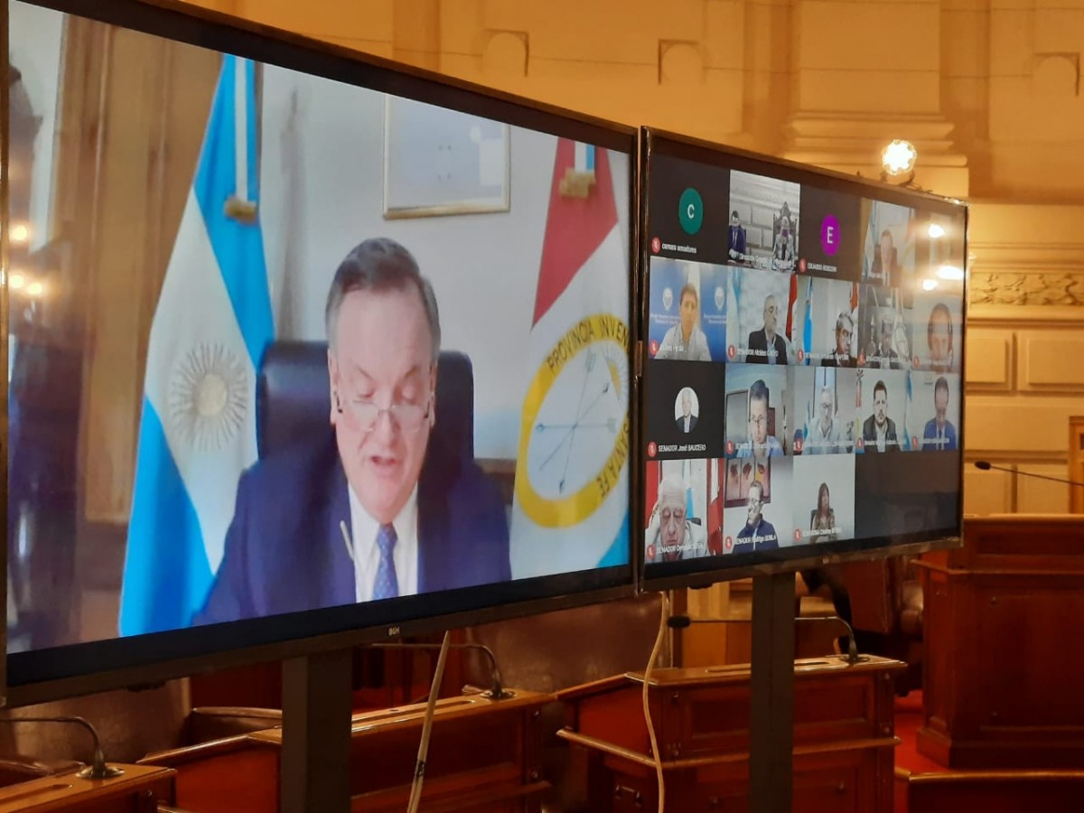 Proponen que IAPOS brinde protección integral a pacientes de Fibrosis Quística de Páncreas o Mucoviscidosis