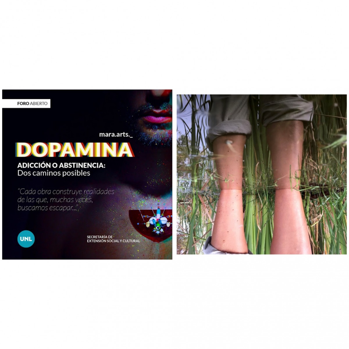 La UNL inaugura dos exposiciones de artistas santafesinos.