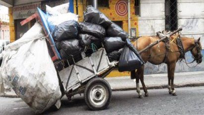 Maltrato animal: más de mil caballos rescatados en Santa Fe en 13 años.