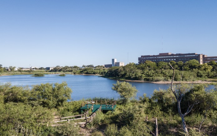 El Mirador de la Laguna de las Aves, un espacio para disfrutar la Reserva Ecológica UNL