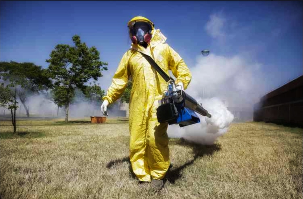 San Carlos Sud anuncio medidas estivales para combatir Aedes aegypti, transmisor del Dengue