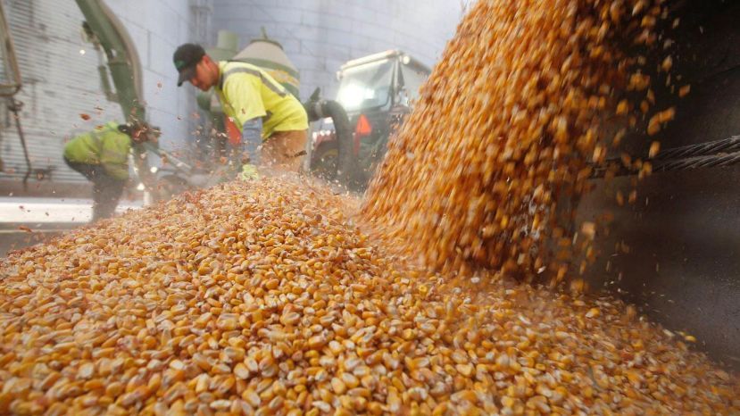 Fuerte rechazo de las entidades agropecuarias al cierre de las exportaciones de maíz