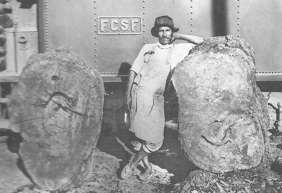 La Forestal, a 100 años de la masacre inglesa en el norte santafesino