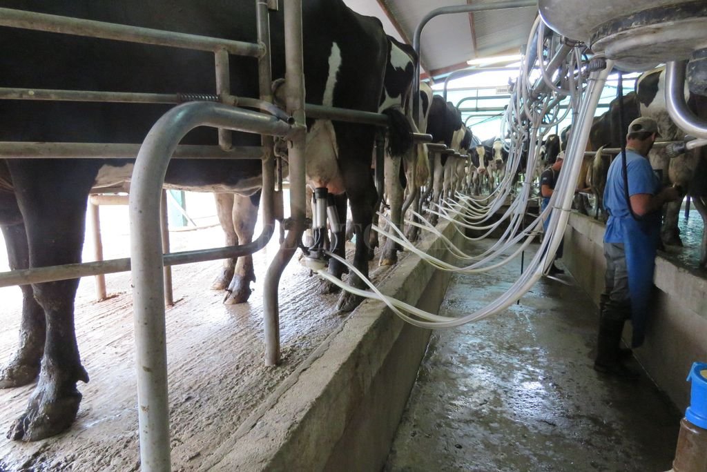 El campo recibe otro revés; suben las retenciones al sector de la lechería