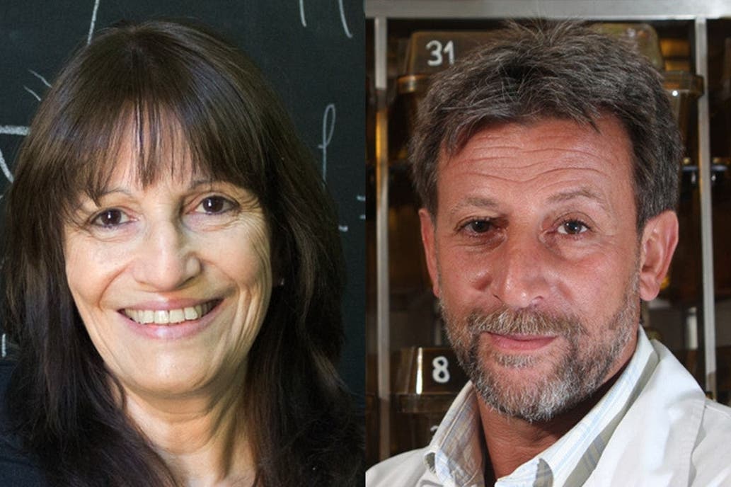 María Teresa Dova y Hugo Luján son dos cientificos argentinos premiados por La Academia Mundial de Ciencias