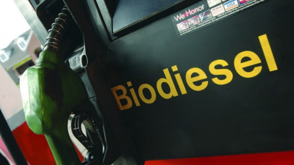 Economía; el precio del biodiesel aumenta hasta un 90%