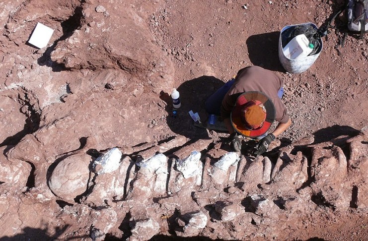 Encontraron restos de un dinosaurio gigante en Neuquén