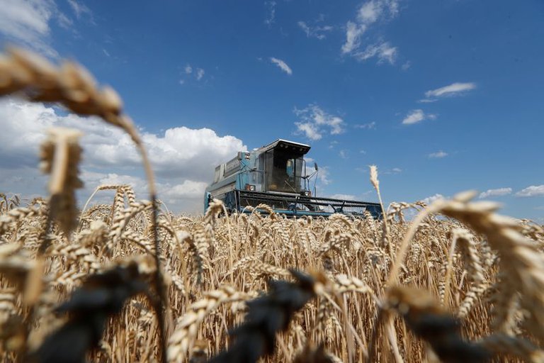 En medio del paro del campo, crece la tensión entre Argentina y Brasil por las exportaciones locales de trigo