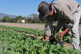 Economia; eliminan las retenciones a productos de las economías regionales