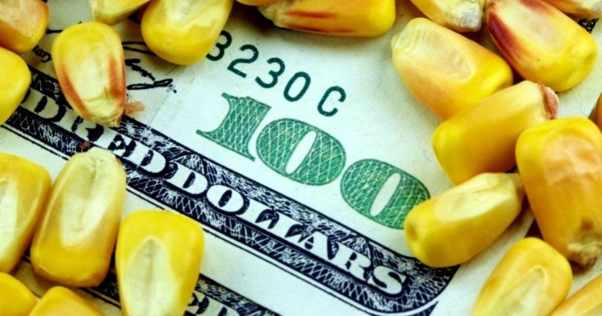Idas y vueltas; ahora reabren “parcialmente” exportaciones de maíz