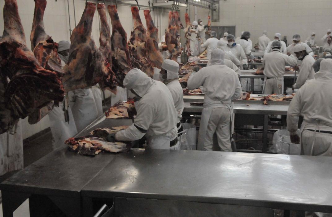 La faena de ganado bovino en Santa Fe registró en noviembre una baja del 4,9 por ciento