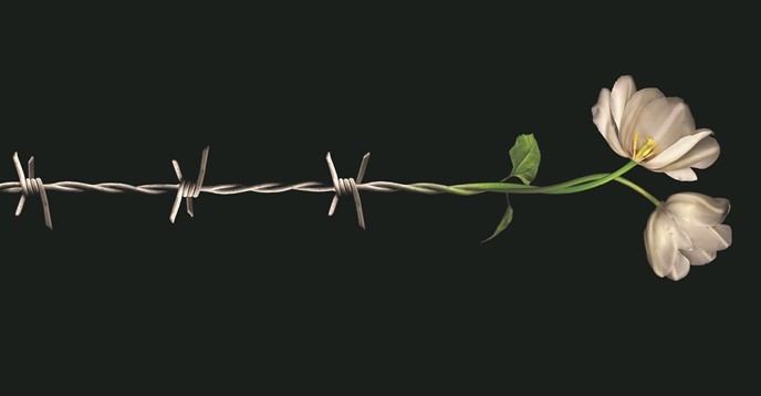 Hace 76 años, el Ejército Rojo  liberaba el campo de concentración de Auschwitz
