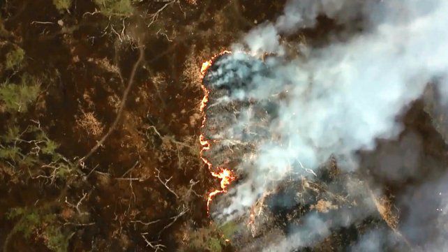 Se estrena “Detrás del humo” un documental sobre los incendios en el Delta del Paraná, durante el año 2020