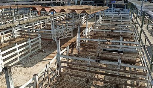 Economía; el campo analiza un paro con cese de comercialización y control de cargas.