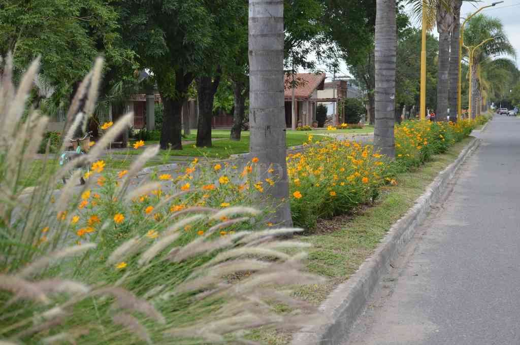 Progreso tiene el primer cantero sustentable, “un jardín de 500 mtrs”