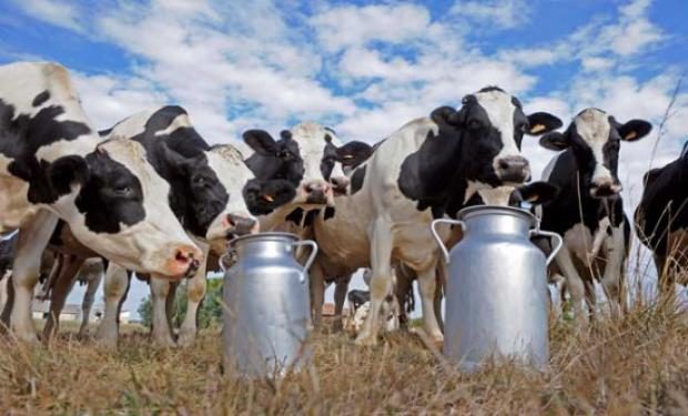 Lecheria; aseguran que el precio pagado a productores no cubre los costos de producción