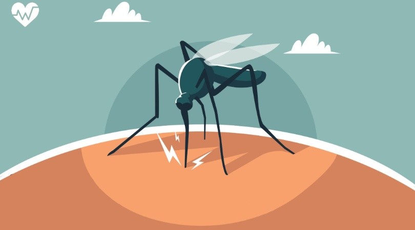 Salud; en plena invasión de mosquitos, el Dengue es una enfermedad que obliga a prevenir.