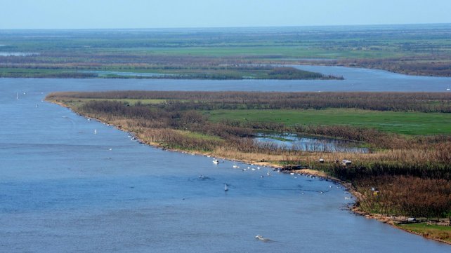 Día Mundial de los Humedales: un enorme reservorio de biodiversidad en Santa Fe en crisis por las quemas