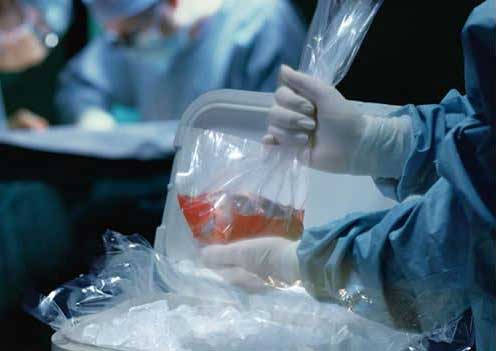 27 de febrero; Día Internacional del Trasplante de Órganos y Tejidos