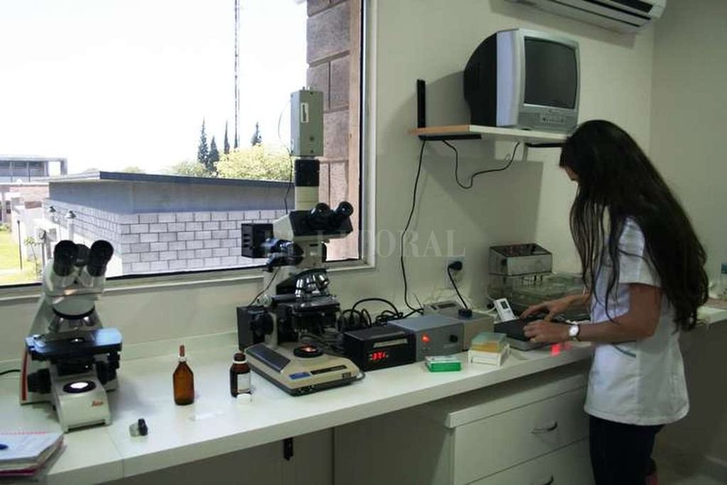 Ciencias Veterinarias; el 65% de los ingresos al ciclo lectivo 2021, son mujeres