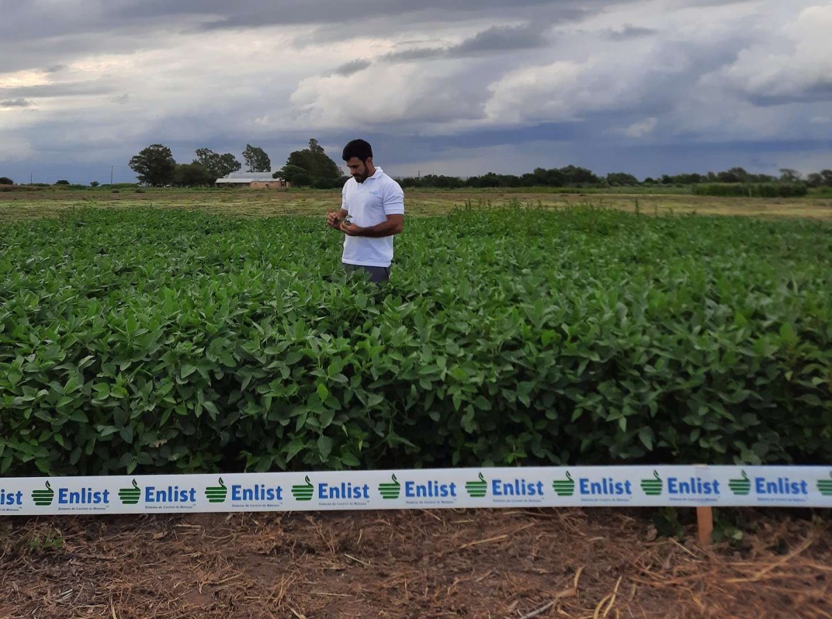 La agricultura se renueva, con más rindes y mayor sustentabilidad